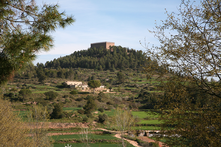 Castell de Balsareny



















© Imatge Jordi Bastart