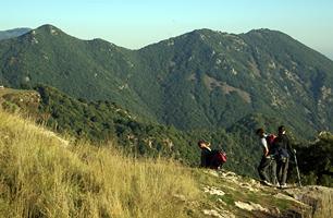 El Montseny. El Pla de la Calma. 