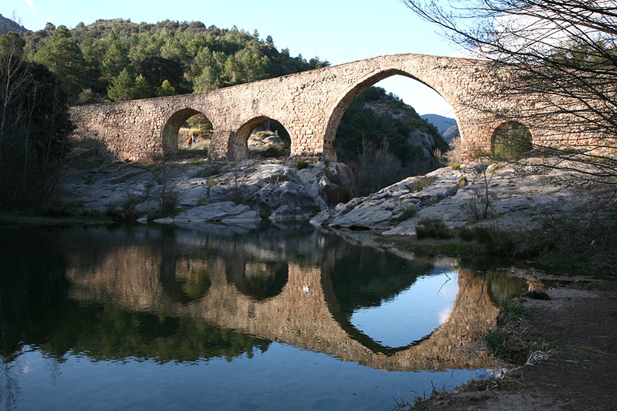 Pont de Pedret sobre el Llobregat





















© Imatge Jordi Bastart





