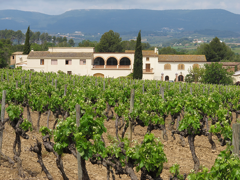 Viñas y bodega Jané & Santacana












© Imatge Jordi Bastart