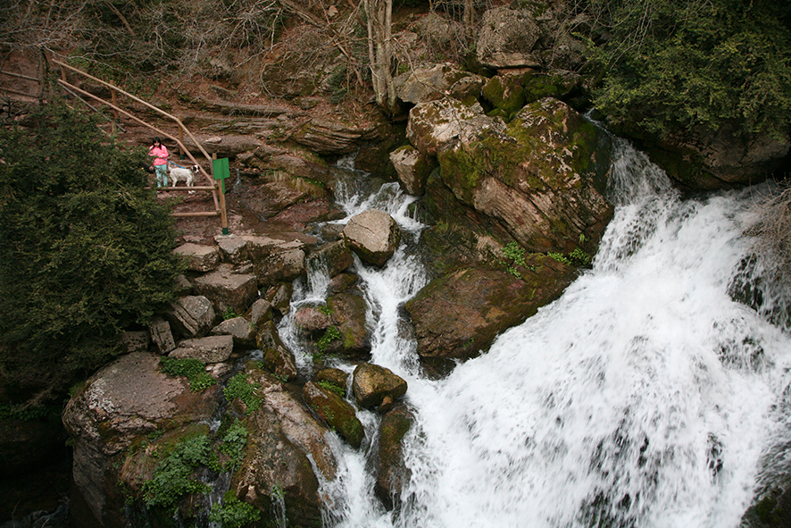 Fonts del Llobregat. Castellar de n'Hug



















© Imatge Jordi Bastart