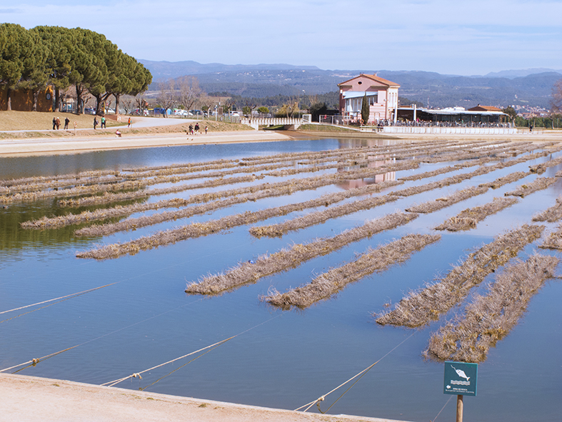 Parc de l'Agulla. Manresa



















© Imatge Jordi Bastart