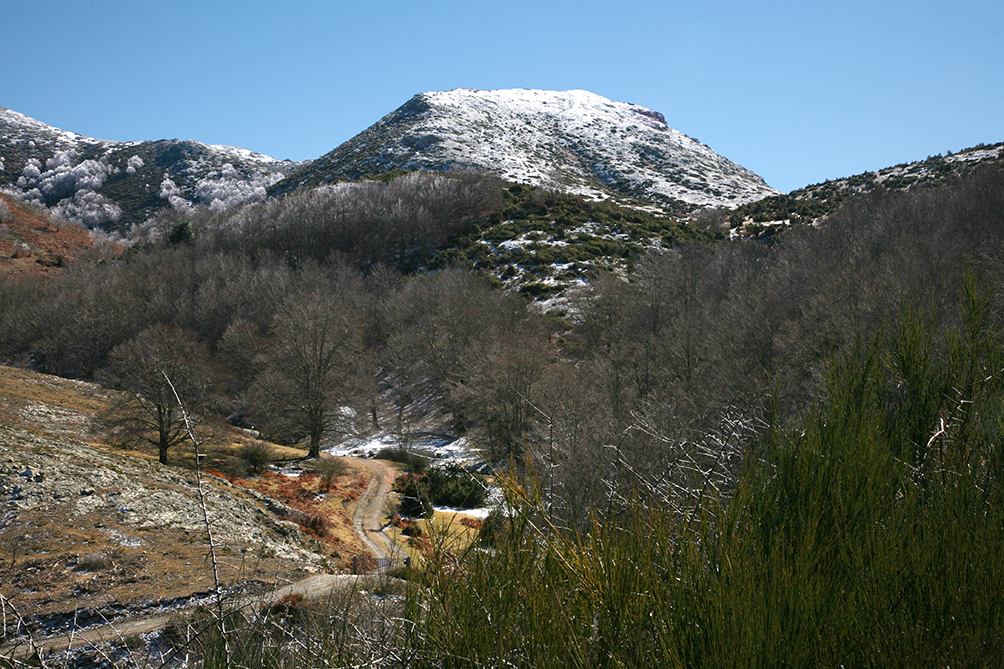 Vorejant el Matagalls





















© Imatge
Jordi Bastart





