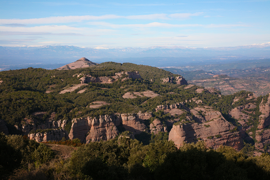 Vistas desde la Mola





















© Imatge
Jordi Bastart





