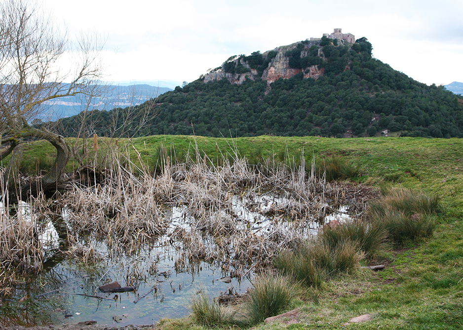 Montaña del Tagamanent





















© Imatge
Jordi Bastart





